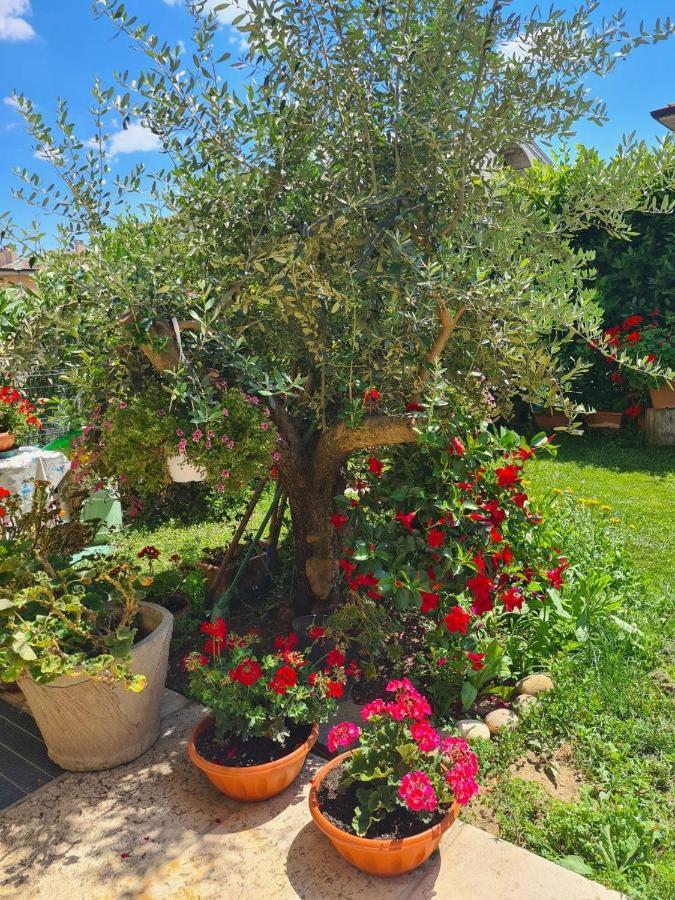 Homestay Casa Andre