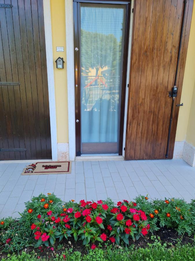 Homestay Casa Andre
