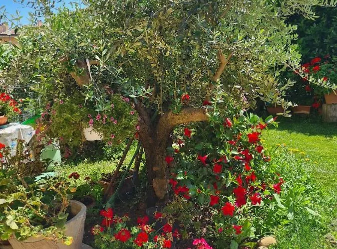 Casa Andrè