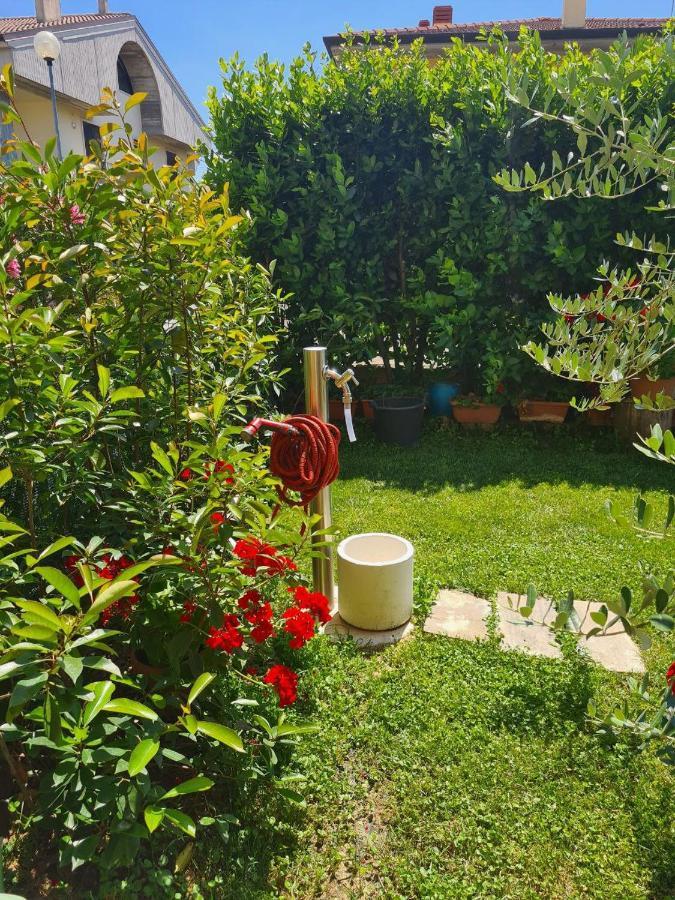 Casa Andre Homestay *